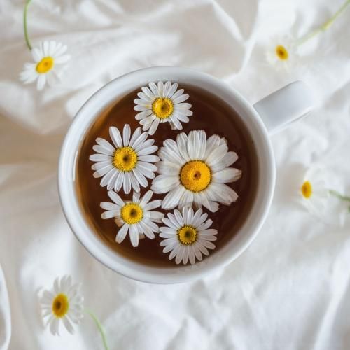 دانلود آهنگ کوهیار فاطمه عطایی