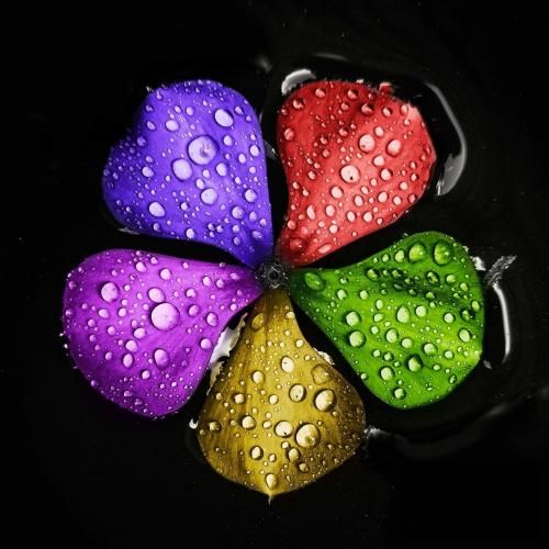 دانلود آهنگ خودت میدونستی چقد دیوونتم بگو اونور دنیا