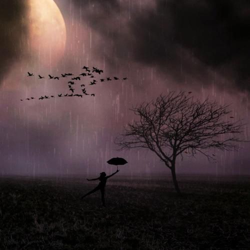 دانلود آهنگ اعتماد به تو کردم کاش نمیکردم دلتو شکستم