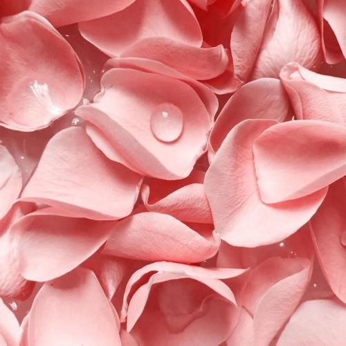 دانلود آهنگ هیترامون شدن سر قدیس کریسپی کلی داف زدم