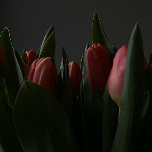 دانلود آهنگ همه جوره باهام سوختی و ساختی من خوبو