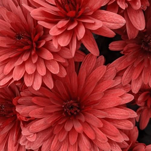 دانلود آهنگ ته جذابیتت جاذبه ی اون دو چشات