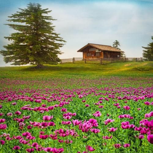 دانلود آهنگ خوشی واسه من قدر یه بیت آزادی بود