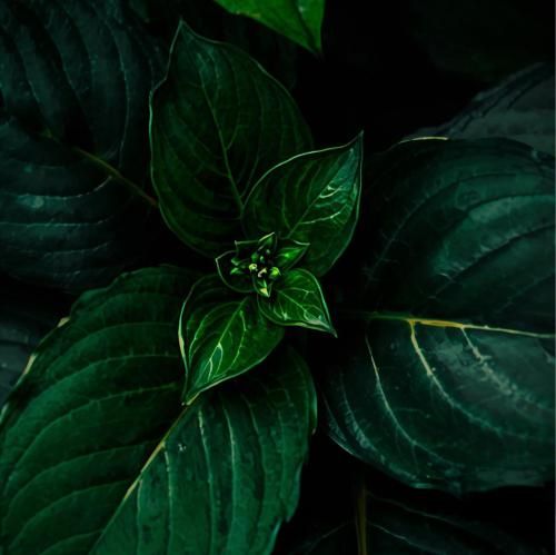 دانلود آهنگ الان دختر اوضاع بد خیته توی باغچه ی دلم