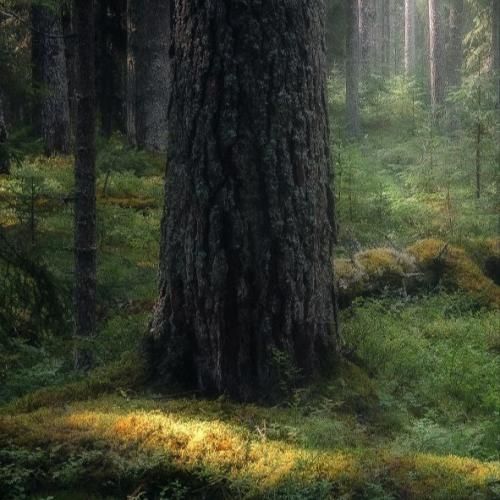 دانلود آهنگ میگی تایپتم هر سری به من دیوونه ی وایبتم