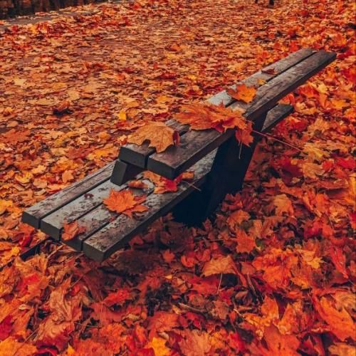 دانلود آهنگ تموم تعهداتمو کشتم به جز هنر نمیشد بخرنم