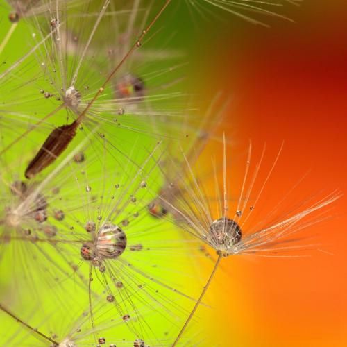 دانلود آهنگ ویناک شد روانی نمیزنم تا صبح دماغی