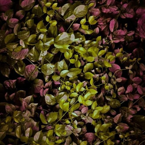 دانلود آهنگ میگن چرا ازش خداحافظی نکردی من سر سلام