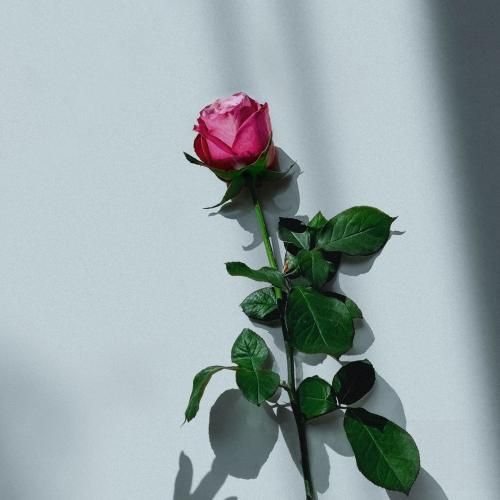 دانلود آهنگ تو بیا حرف بزنیم واسه ی همیشه نرو