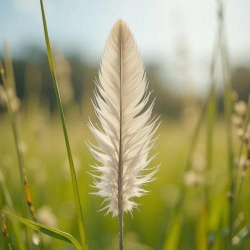 دانلود آهنگ تکست میدی بهم پرت نشو پایین دیوونه بهم بگو