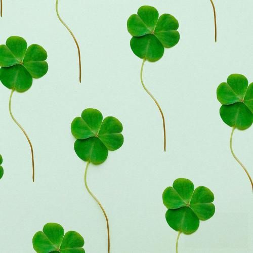 دانلود آهنگ چقدر باغبون بد چه ترسناک که نمیشه حرفو