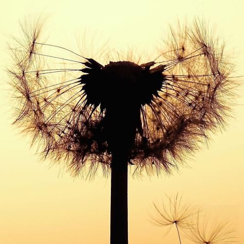 دانلود آهنگ نمیدونم شایدم نمیدونی که سر هرچی بشه بهم میگی