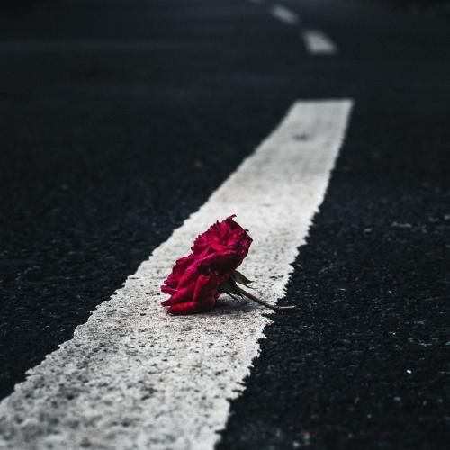 دانلود آهنگ تو این دنیایی که سر تا تهش دو روز میشه