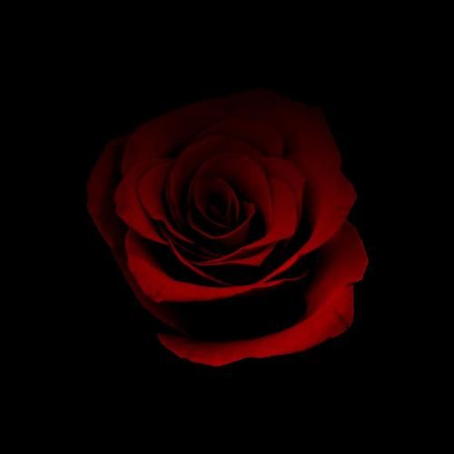 دانلود آهنگ کی کرده تن تو رو زخمی که شده قلب تو از شیشه