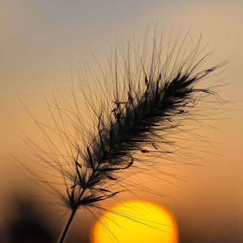 دانلود آهنگ منو داری خیالت تخت هر چی میخواد پیش بیاد