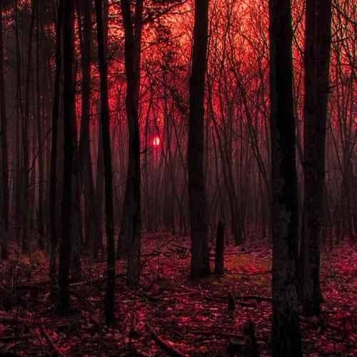 دانلود آهنگ دولدوم تاشدم نگار محرم