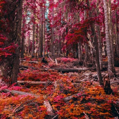 دانلود آهنگ اصن کی فکرشو میکرد کی این طوری سردشی