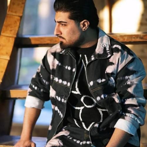 دانلود آهنگ ذوق مکنی تا برات گل میگیرم امیر لیام