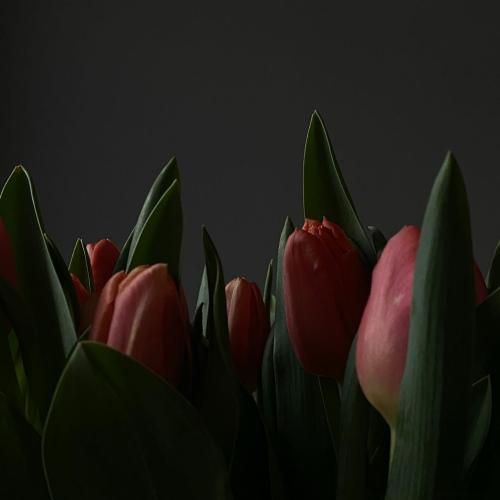 دانلود آهنگ بودی تو خون من مث مواد یه شب نباشی