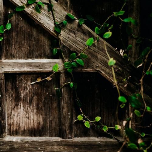 دانلود آهنگ بی حس شدم نامبه نامب همه خیره رو من شدن