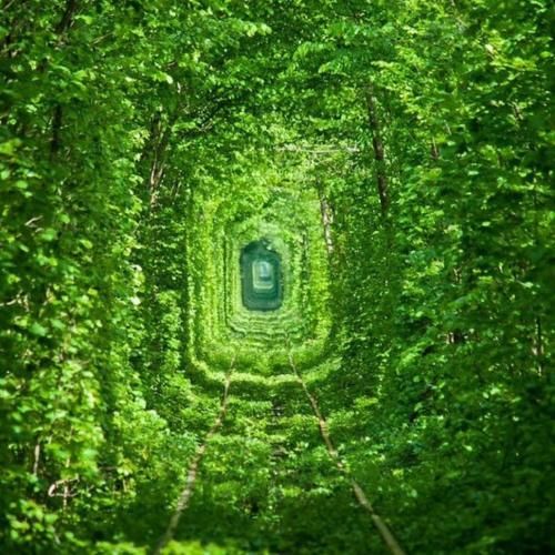 دانلود آهنگ همیشه همه جا پکو پارم با چشای سرخ