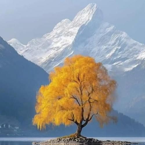 دانلود آهنگ زدم از خودم یادت نیست من عوض شدم