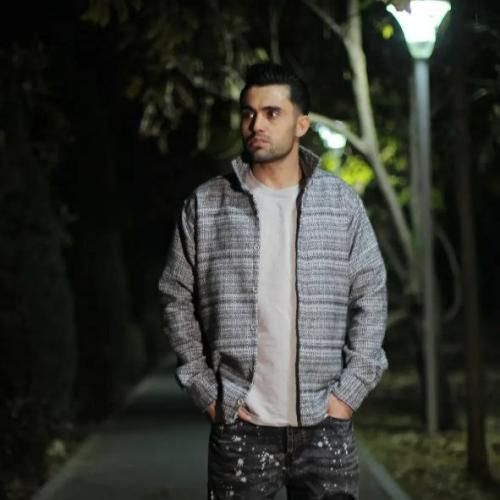 دانلود آهنگ گل من بودی کردم پرپرت گرگای زخمی دیان