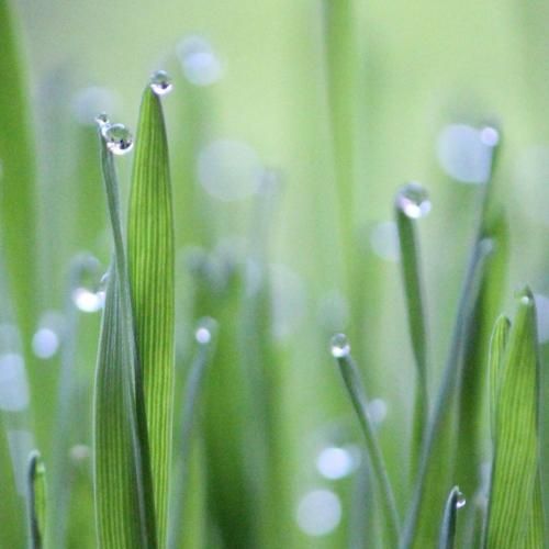 دانلود آهنگ شاید نشه برگشت تو دلم کلی حرف هست