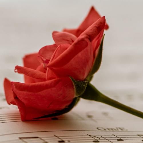 دانلود آهنگ عشقو وفاداری رو از بابام یادم گرفتم