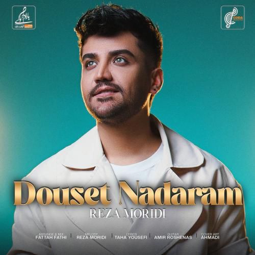 دانلود آهنگ دوست ندارم رضا مریدی