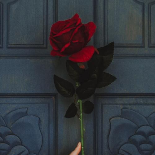 دانلود آهنگ یار تیه کالم مهسا خسروانی