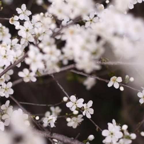 دانلود آهنگ درکت میکنم اگه جات بودم تو جای من بودی