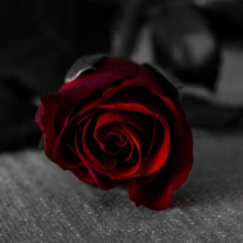 دانلود آهنگ ببین چی ساختی تو از منه دیوونه که الان این شدم