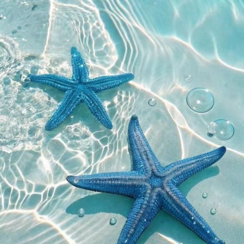 دانلود آهنگ مامان فاطمه عطایی