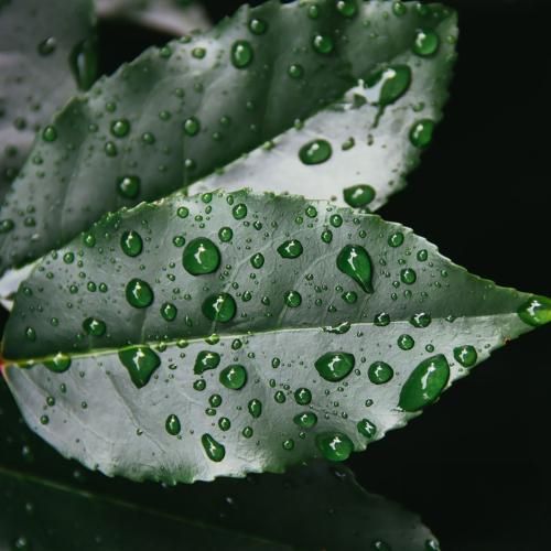 دانلود آهنگ تقریبا حال همه مون بده هر روز یه چی ازمون کمه