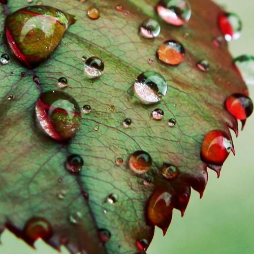 دانلود آهنگ بذار باز بشه پلکام با تو قشنگه شعرام