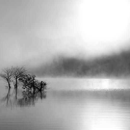 دانلود آهنگ انگار داره قد میکشه تو قلبمون کینه این تازه