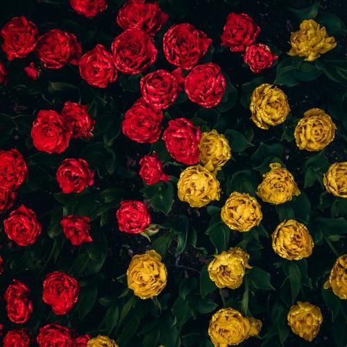 دانلود آهنگ اینم یه دعوای دیگست مگه نه تو برمیگردی پیشم