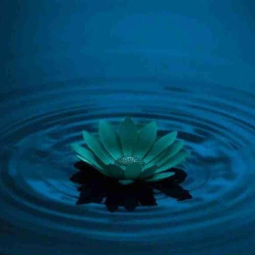 دانلود آهنگ شیشه لبریزه از خون ملت خاطرات پیچیده تو بوی