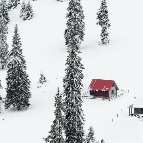 دانلود آهنگ کلمه ها تیرن زبونمون اسلحه دور همتونو خط کشیدم