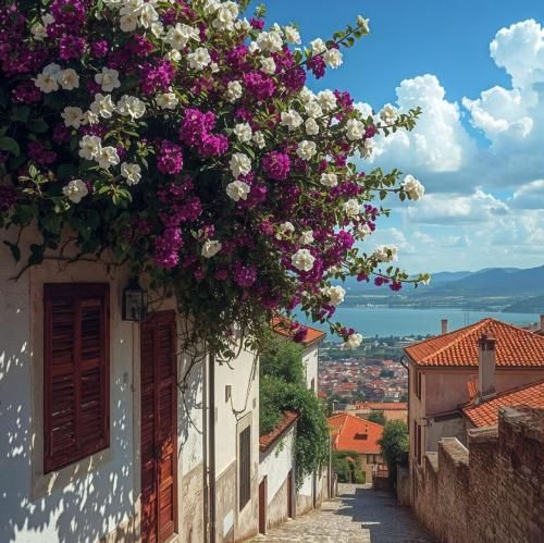 دانلود آهنگ همش تو فکرمه بزارم برم حق بدید یه بارم