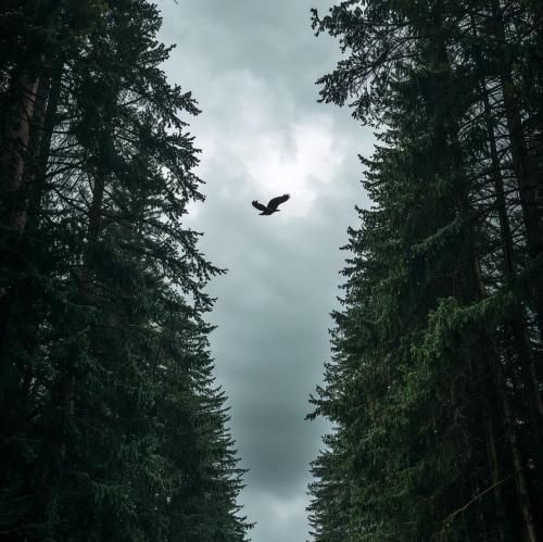 دانلود آهنگ اگه این صدا یه روزی به گوشت رسید (میکس اینستا)