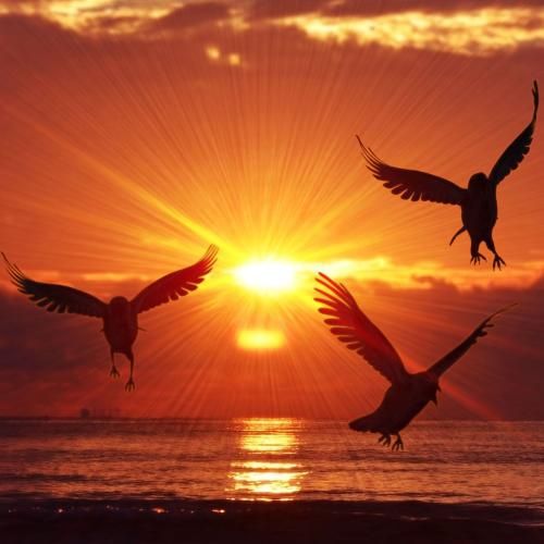 دانلود آهنگ راستشو بگو یعنی حرفات دروغ بود هرکی فاز لاو گرفت