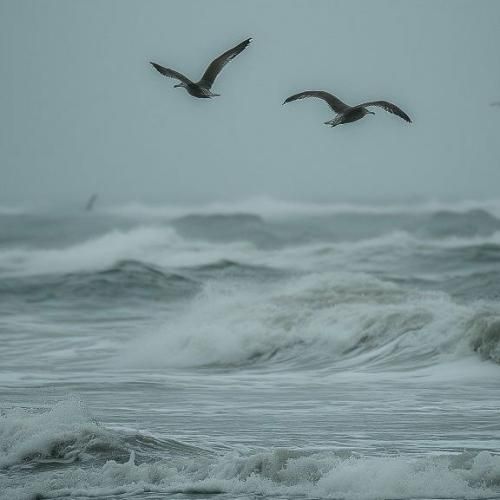 دانلود آهنگ بی تو چی بکم له‌و دلی پرم با صدای دختر