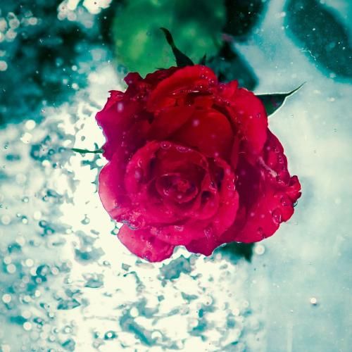 فاطمه عطایی بمردمه مار