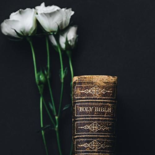 دانلود آهنگ رفتیو دل پر درد بی تو بهار قلبم چه سرده