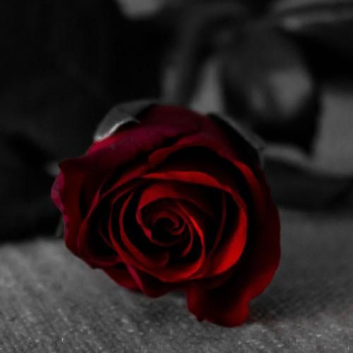 دانلود آهنگ دلم گرفته بدجور حال روحیم خرابه