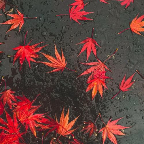 دانلود آهنگ یا حقمو پس میگیرم به مادرم بگید دارم به