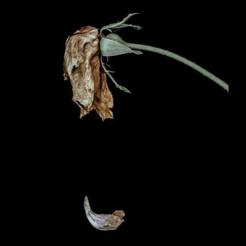 دانلود آهنگ داد میزنه سپهر من کجایی بابا کی این جنایتو از یاد میبره