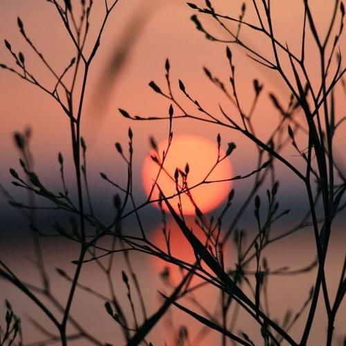 دانلود آهنگ تاریکه همش آسمون محل به روت نیار اگه جنازه دیدی